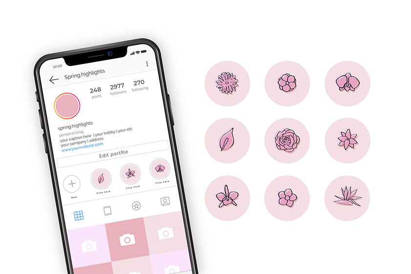 tudo sobre bio do instagram